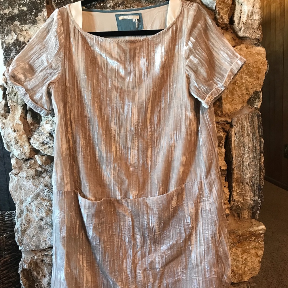 Beige , velvet anthropolgie dress .
